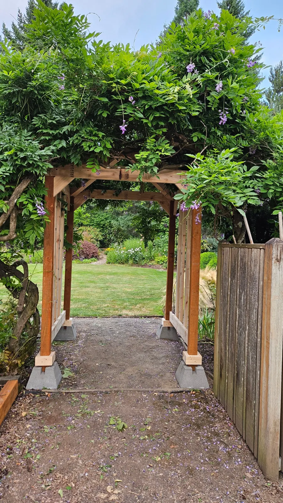 Cedar garden arbor framing a garden path
