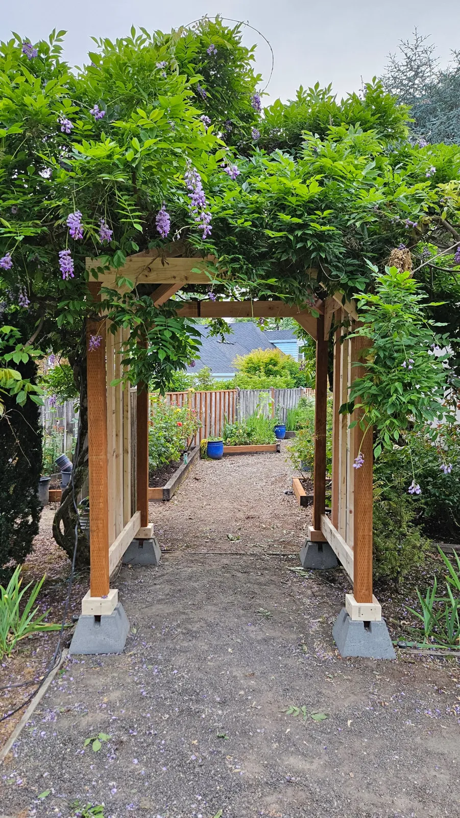 Cedar garden arbor on concrete piers under a wisteria